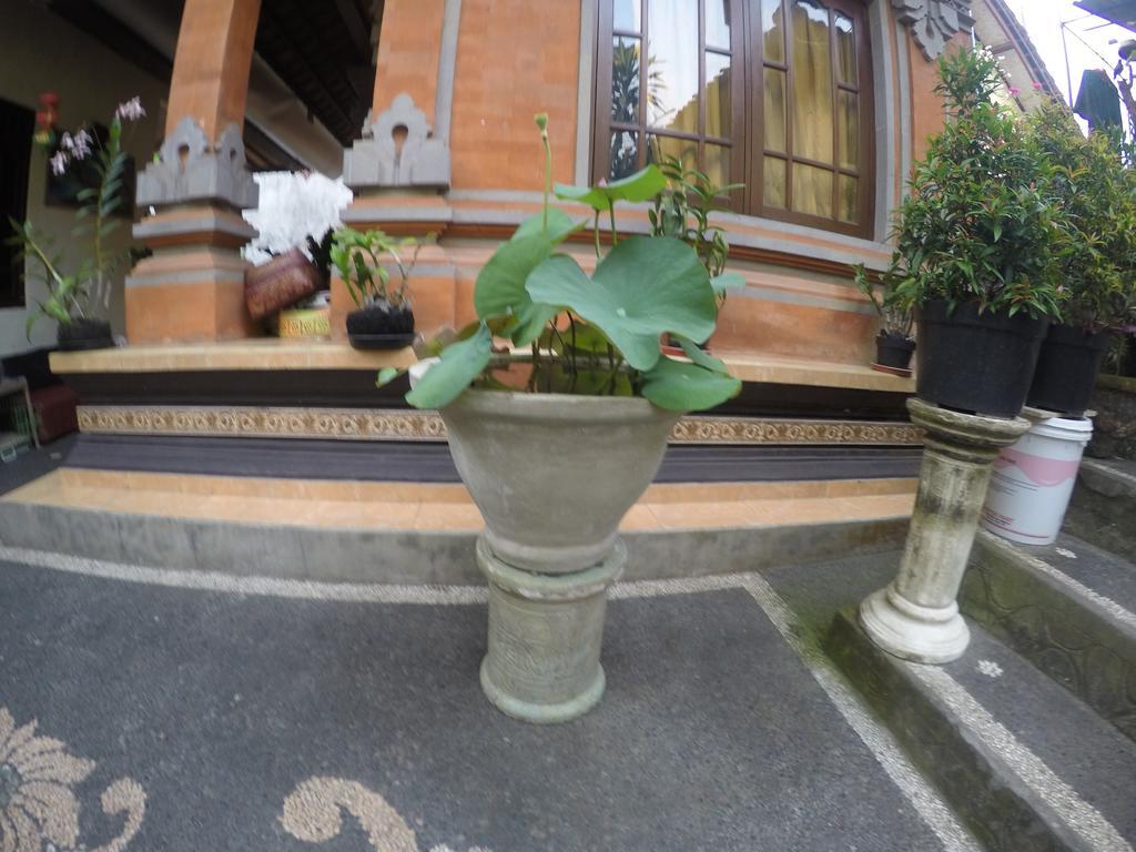 Pancer House Hotel Ubud  Exterior photo